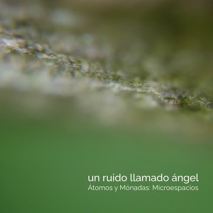 Átomos y Mónadas: Microespacios