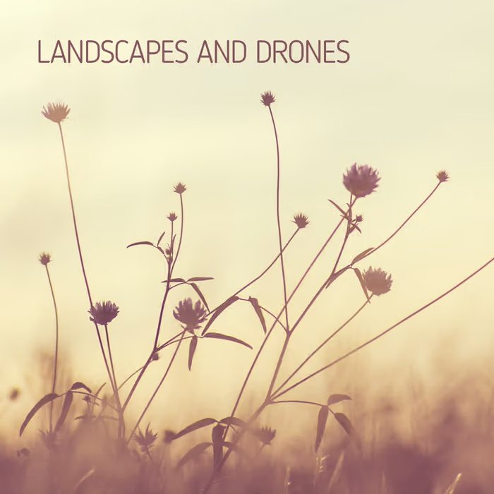 Landscapes and Drones